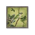Picture of Vintage Tropical Birds I _GroupedProduct_Square_Framed_Matted_