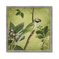 Picture of Vintage Tropical Birds I _GroupedProduct_Square_Framed_Matted_