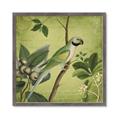 Picture of Vintage Tropical Birds I _GroupedProduct_Square_Framed_Matted_