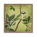 Picture of Vintage Tropical Birds I _GroupedProduct_Square_Framed_Matted_