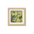 Picture of Vintage Tropical Birds I _GroupedProduct_Square_Framed_Matted_
