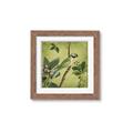 Picture of Vintage Tropical Birds I _GroupedProduct_Square_Framed_Matted_