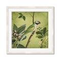 Picture of Vintage Tropical Birds I _GroupedProduct_Square_Framed_Matted_
