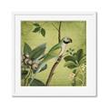 Picture of Vintage Tropical Birds I _GroupedProduct_Square_Framed_Matted_