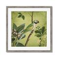 Picture of Vintage Tropical Birds I _GroupedProduct_Square_Framed_Matted_