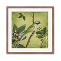 Picture of Vintage Tropical Birds I _GroupedProduct_Square_Framed_Matted_