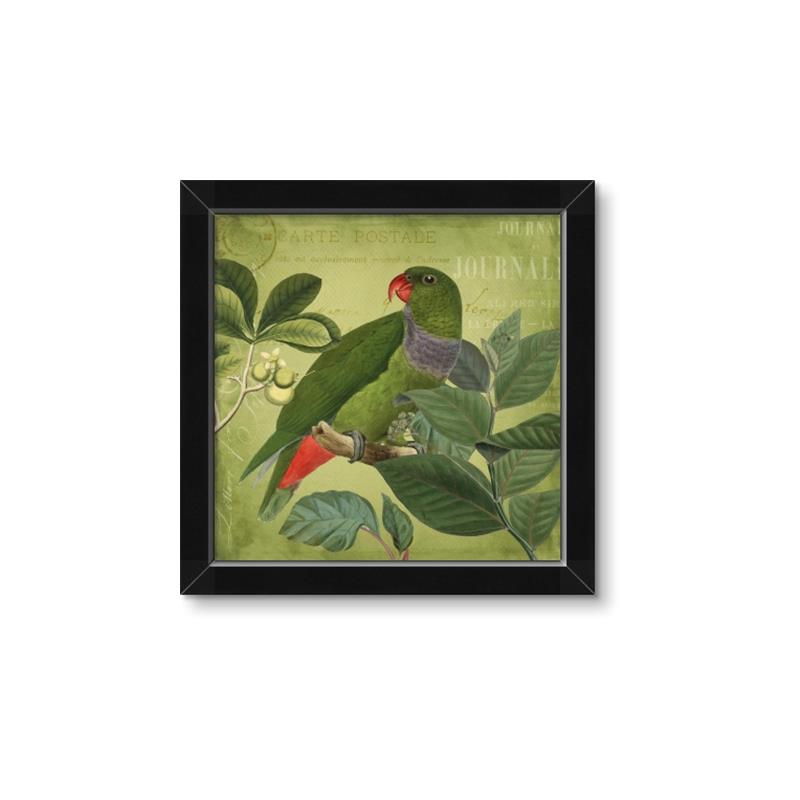 Picture of Vintage Tropical Birds II _GroupedProduct_Square_Framed_Matted_