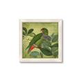 Picture of Vintage Tropical Birds II _GroupedProduct_Square_Framed_Matted_