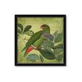 Picture of Vintage Tropical Birds II _GroupedProduct_Square_Framed_Matted_