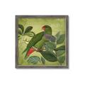 Picture of Vintage Tropical Birds II _GroupedProduct_Square_Framed_Matted_