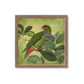 Picture of Vintage Tropical Birds II _GroupedProduct_Square_Framed_Matted_