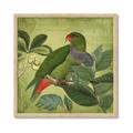 Picture of Vintage Tropical Birds II _GroupedProduct_Square_Framed_Matted_
