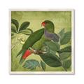 Picture of Vintage Tropical Birds II _GroupedProduct_Square_Framed_Matted_