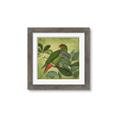 Picture of Vintage Tropical Birds II _GroupedProduct_Square_Framed_Matted_