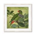Picture of Vintage Tropical Birds II _GroupedProduct_Square_Framed_Matted_