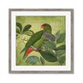 Picture of Vintage Tropical Birds II _GroupedProduct_Square_Framed_Matted_