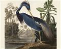 Picture of Vintage Heron Bird _GroupedProduct_Rectangle_Landscape_Unframed_Print_Only_