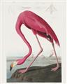 Picture of Vintage Pink Flamingo _GroupedProduct_Rectangle_Portrait_Unframed_Print_Only_