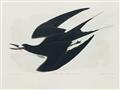 Picture of Vintage Black Sooty Tern _GroupedProduct_Rectangle_Landscape_Unframed_Print_Only_