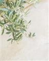 Picture of Few Olive Tree Leaves _GroupedProduct_Rectangle_Portrait_Photography _GroupedProduct_Rectangle_Portrait_Unframed_Print_Only_