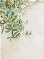 Picture of Few Olive Tree Leaves _GroupedProduct_Rectangle_Portrait_Photography _GroupedProduct_Rectangle_Portrait_Unframed_Print_Only_