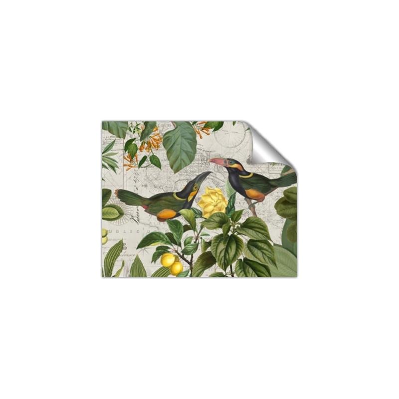 Picture of Parrots Nostalgic Journey 2 _GroupedProduct_Rectangle_Landscape_Unframed_Print_Only_