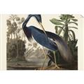 Picture of Vintage Heron Bird _GroupedProduct_Rectangle_Landscape_Unframed_Print_Only_