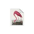 Picture of Vintage Pink Flamingo _GroupedProduct_Rectangle_Portrait_Unframed_Print_Only_