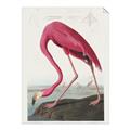 Picture of Vintage Pink Flamingo _GroupedProduct_Rectangle_Portrait_Unframed_Print_Only_