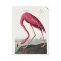 Picture of Vintage Pink Flamingo _GroupedProduct_Rectangle_Portrait_Unframed_Print_Only_