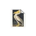 Picture of Vintage White Pelican _GroupedProduct_Rectangle_Portrait_Unframed_Print_Only_