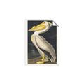 Picture of Vintage White Pelican _GroupedProduct_Rectangle_Portrait_Unframed_Print_Only_