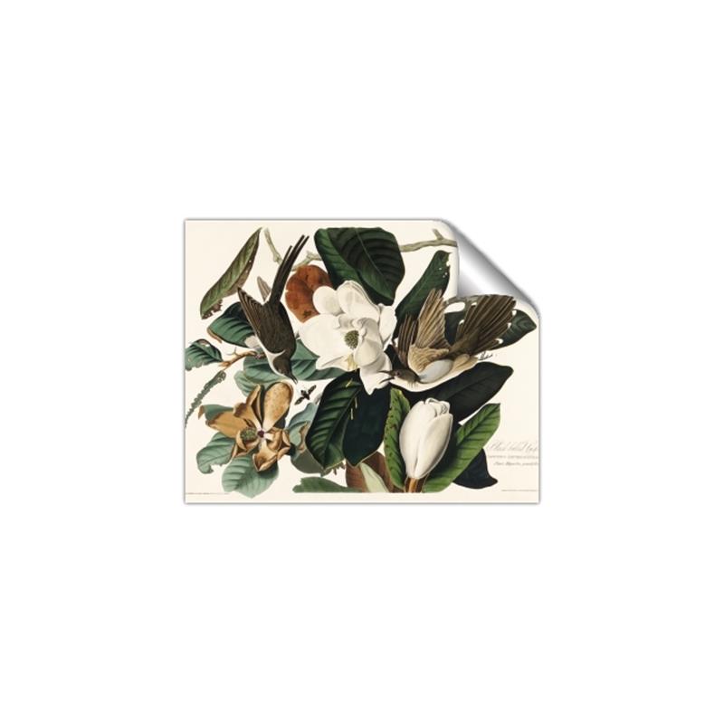 Picture of Black Billed Cuckoo Bird _GroupedProduct_Rectangle_Landscape_Unframed_Print_Only_