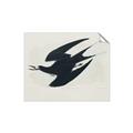 Picture of Vintage Black Sooty Tern _GroupedProduct_Rectangle_Landscape_Unframed_Print_Only_