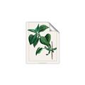 Picture of Nostalgic Green Lilac Leaves _GroupedProduct_Rectangle_Portrait_Unframed_Print_Only_