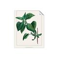Picture of Nostalgic Green Lilac Leaves _GroupedProduct_Rectangle_Portrait_Unframed_Print_Only_