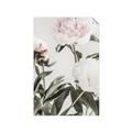 Picture of Romantic Blur Peony V _GroupedProduct_Rectangle_Portrait_Photography _GroupedProduct_Rectangle_Portrait_Unframed_Print_Only_