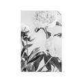 Picture of Romantic Blur Peony V _GroupedProduct_Rectangle_Portrait_Photography _GroupedProduct_Rectangle_Portrait_Unframed_Print_Only_