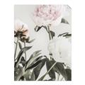 Picture of Romantic Blur Peony V _GroupedProduct_Rectangle_Portrait_Photography _GroupedProduct_Rectangle_Portrait_Unframed_Print_Only_