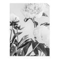 Picture of Romantic Blur Peony V _GroupedProduct_Rectangle_Portrait_Photography _GroupedProduct_Rectangle_Portrait_Unframed_Print_Only_