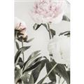 Picture of Romantic Blur Peony V _GroupedProduct_Rectangle_Portrait_Photography _GroupedProduct_Rectangle_Portrait_Unframed_Print_Only_
