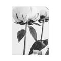 Picture of Romantic Blur Peony IV _GroupedProduct_Rectangle_Portrait_Photography _GroupedProduct_Rectangle_Portrait_Unframed_Print_Only_