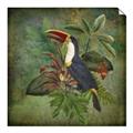 Picture of Tropical Paradise Toucan Bird _GroupedProduct_Square_Unframed_Print_Only_
