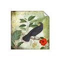 Picture of Tropical Paradise Birds Garden _GroupedProduct_Square_Unframed_Print_Only_