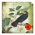 Picture of Tropical Paradise Birds Garden _GroupedProduct_Square_Unframed_Print_Only_