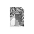 Picture of Green Door with Lush Leaves _GroupedProduct_Rectangle_Portrait_Photography _GroupedProduct_Rectangle_Portrait_Unframed_Print_Only_