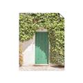 Picture of Green Door with Lush Leaves _GroupedProduct_Rectangle_Portrait_Photography _GroupedProduct_Rectangle_Portrait_Unframed_Print_Only_