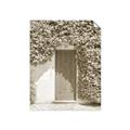 Picture of Green Door with Lush Leaves _GroupedProduct_Rectangle_Portrait_Photography _GroupedProduct_Rectangle_Portrait_Unframed_Print_Only_