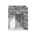 Picture of Green Door with Lush Leaves _GroupedProduct_Rectangle_Portrait_Photography _GroupedProduct_Rectangle_Portrait_Unframed_Print_Only_