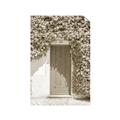 Picture of Green Door with Lush Leaves _GroupedProduct_Rectangle_Portrait_Photography _GroupedProduct_Rectangle_Portrait_Unframed_Print_Only_